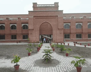 University of Engineering and Technology (UET) Peshawar