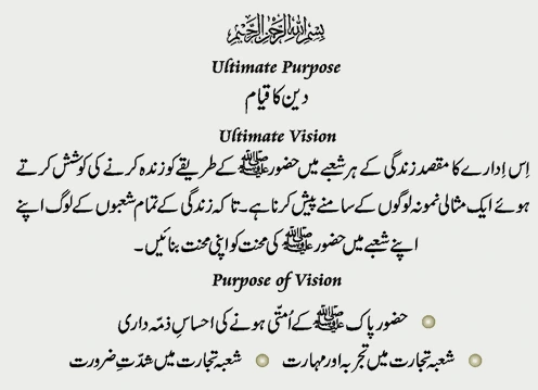 purpose of vision